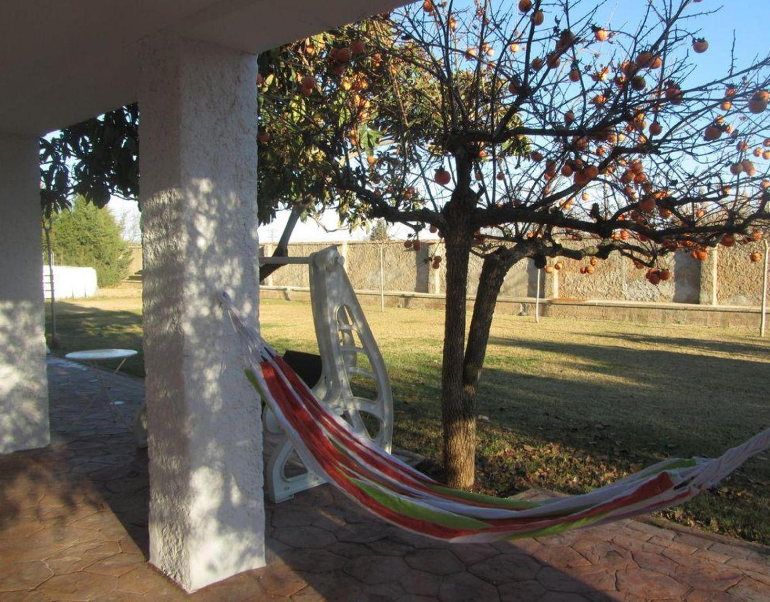 Santa Ana Villa Pedrola Exteriör bild